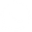 WhatsApp Icon